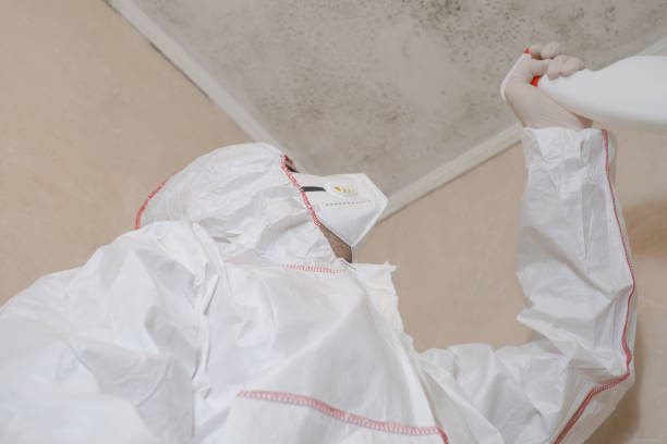 Trusted Ho Ho Kus, NJ Mold Remediation Experts